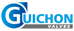 Logo club Guichon Valves Foot